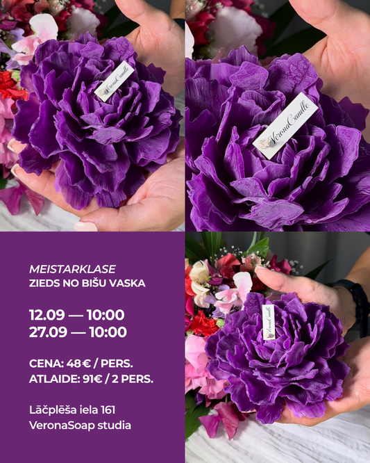 MEISTARKLASE – ZIEDS NO BIŠU VASKA